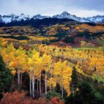 Your Ultimate Guide to Experiencing Fall Leaves in Colorado 2023