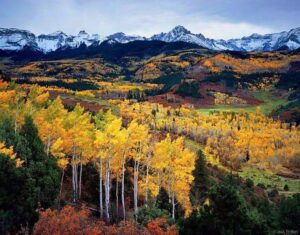 Read more about the article Your Ultimate Guide to Experiencing Fall Leaves in Colorado 2023